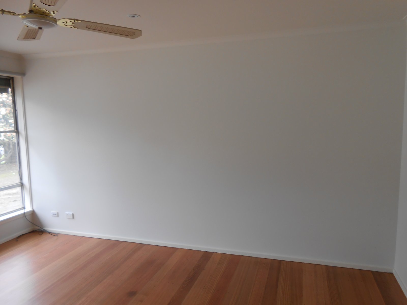 Gallery: 41 Robertson Drive