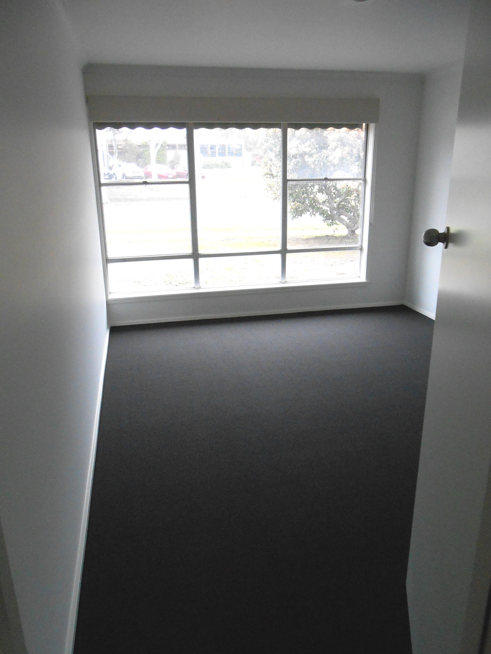 Gallery: 41 Robertson Drive