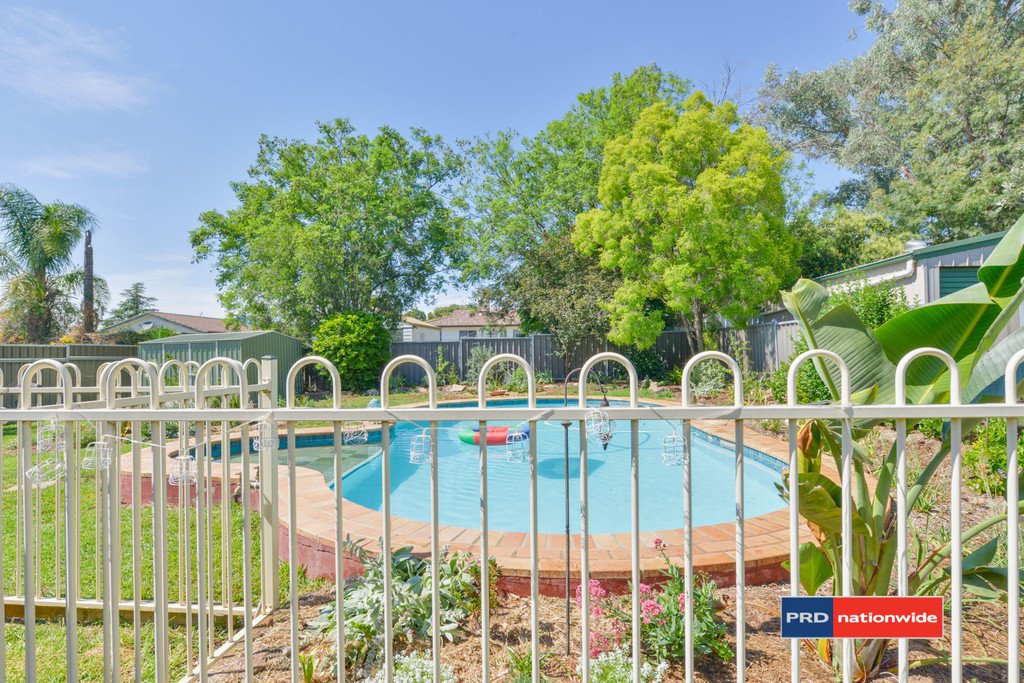 41 Wilburtree Street TAMWORTH 17