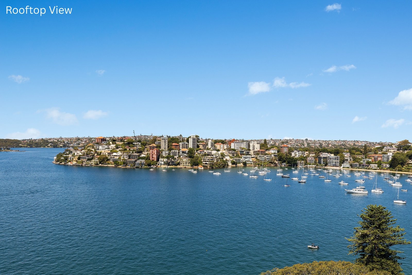 4/10 Etham Avenue DARLING POINT 10