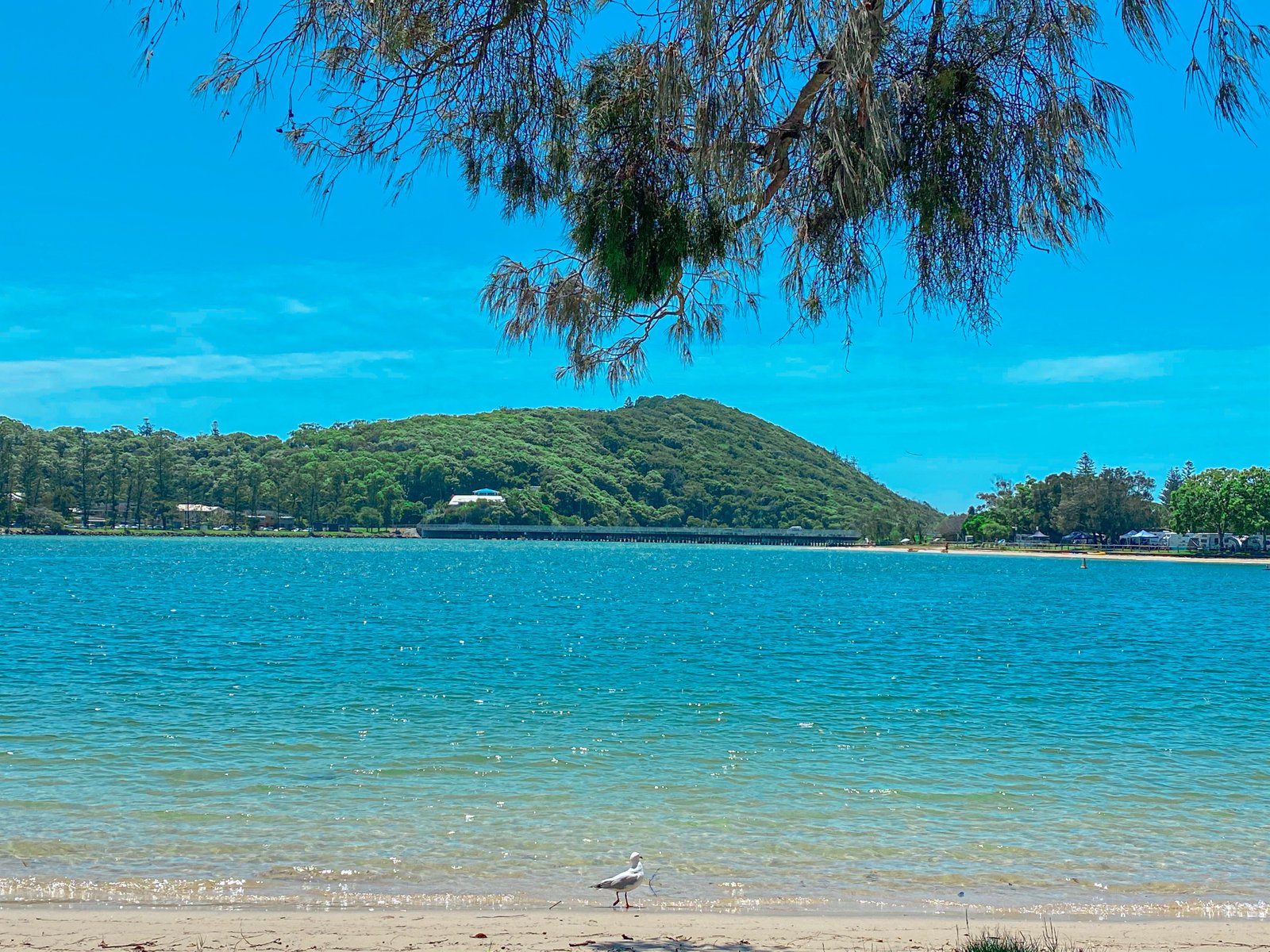 4/10 Nalla Court PALM BEACH 12
