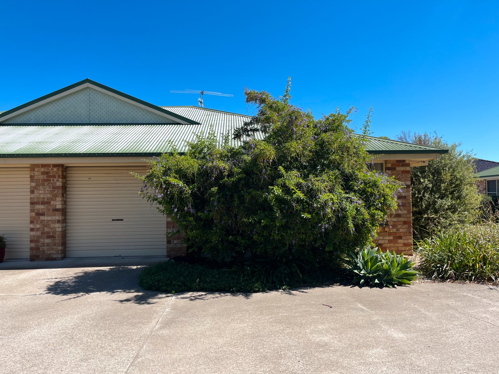 4/10 North Street TAMWORTH 1