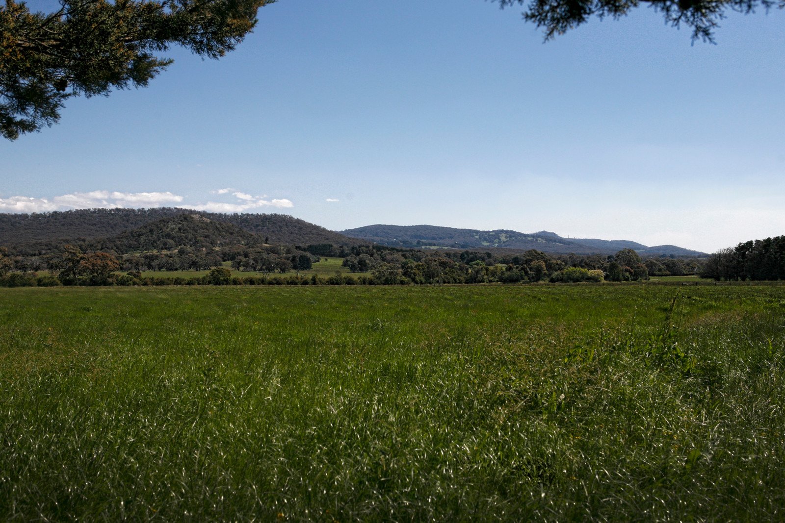 Real Estate and Property in 410 Ochiltrees Road, Romsey, VIC