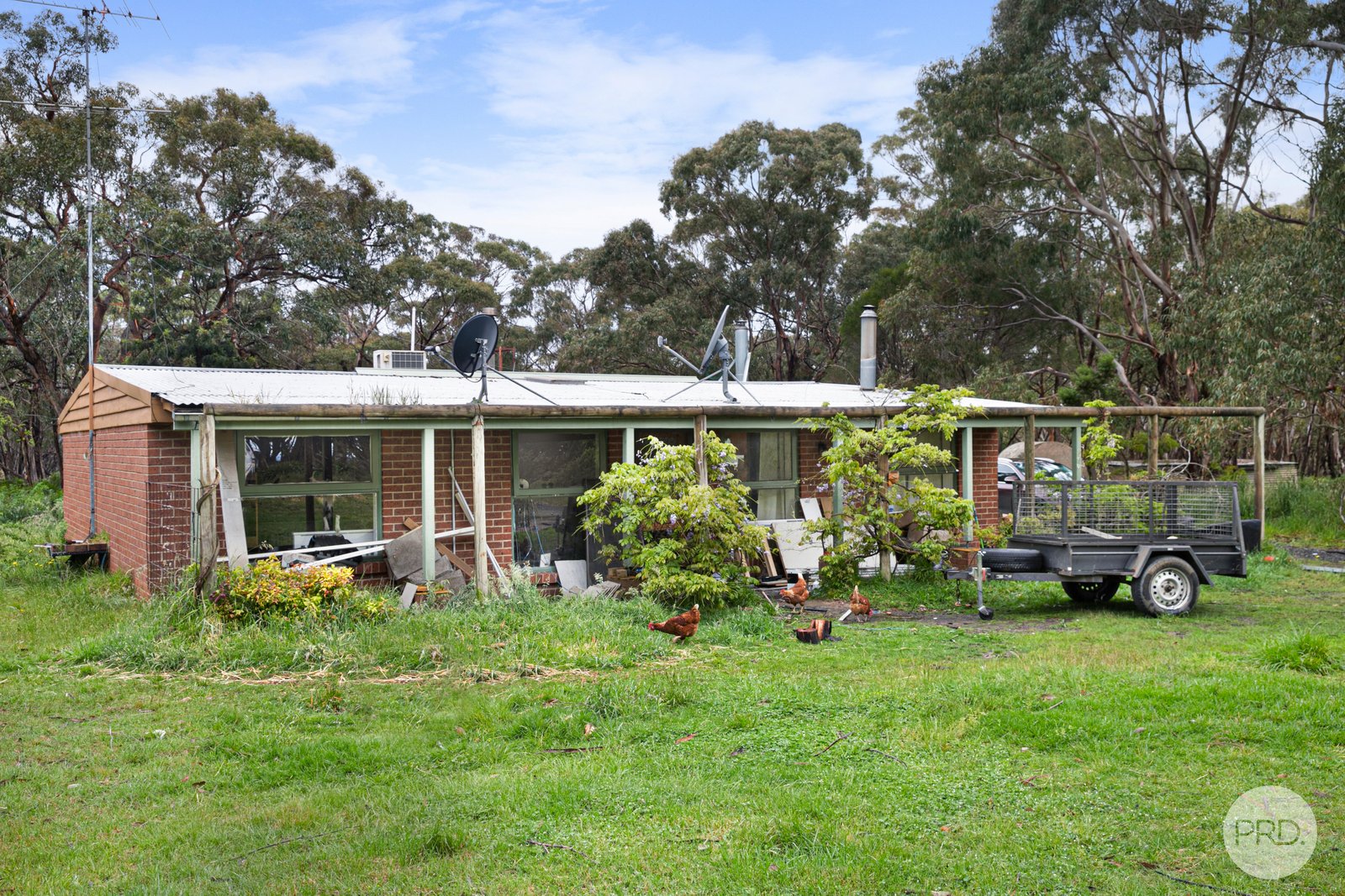 410 Savage Hill Road DEREEL 5