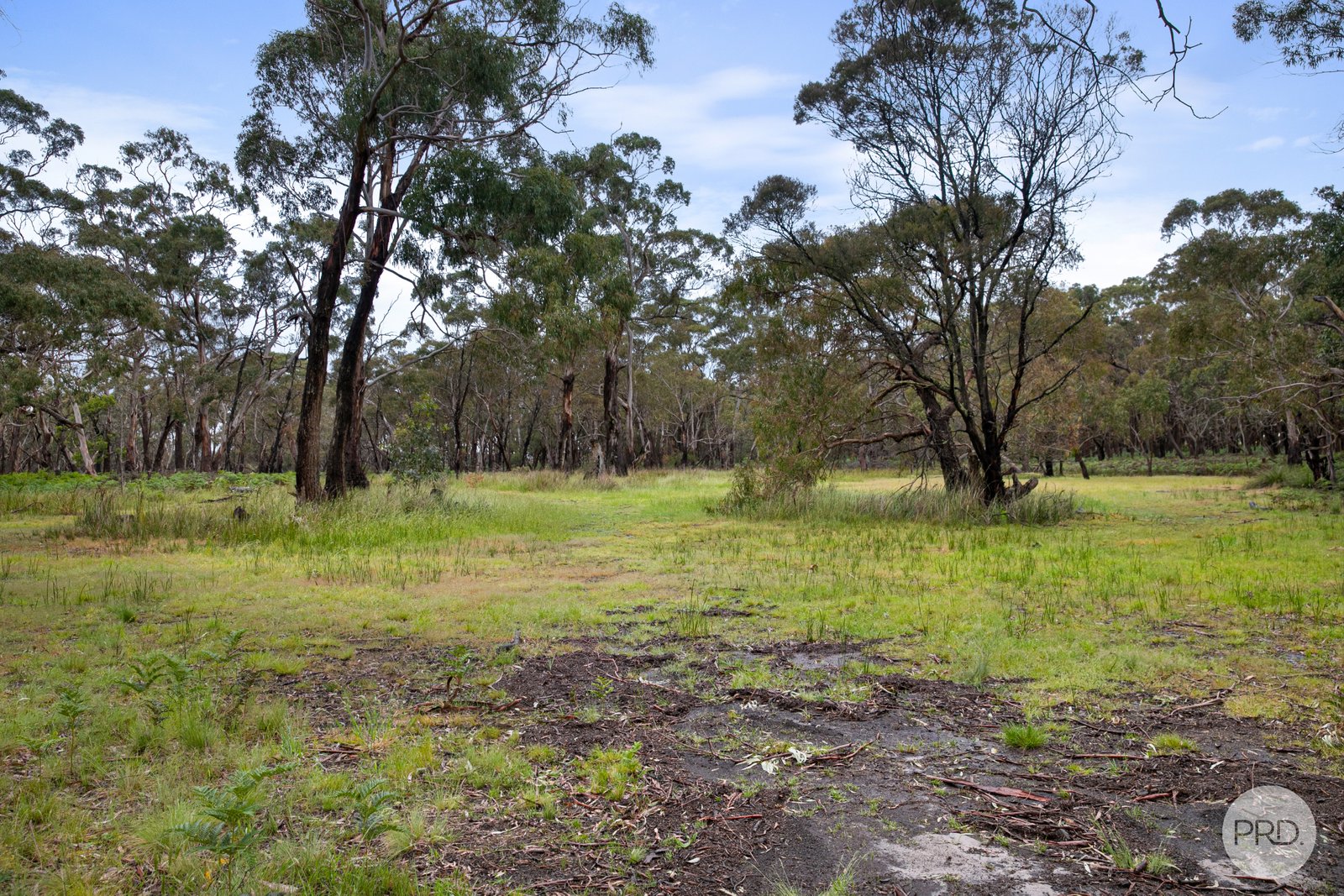 410 Savage Hill Road DEREEL 7