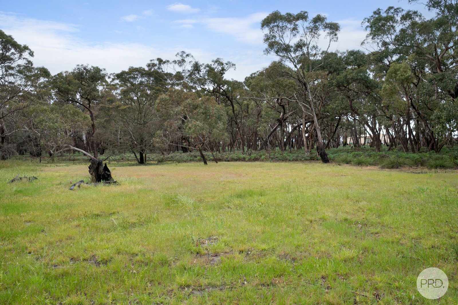 410 Savage Hill Road DEREEL 8