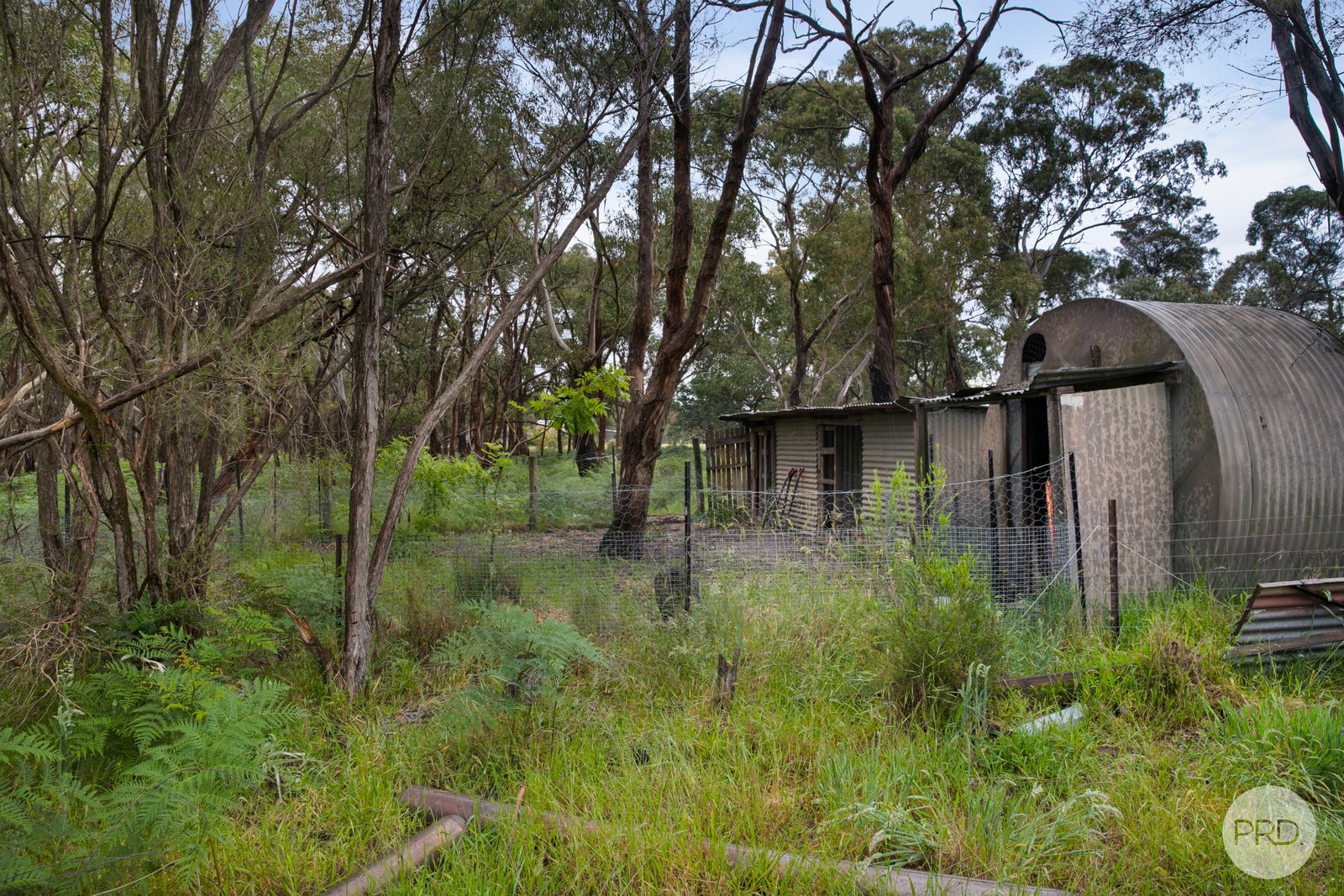 410 Savage Hill Road DEREEL 9