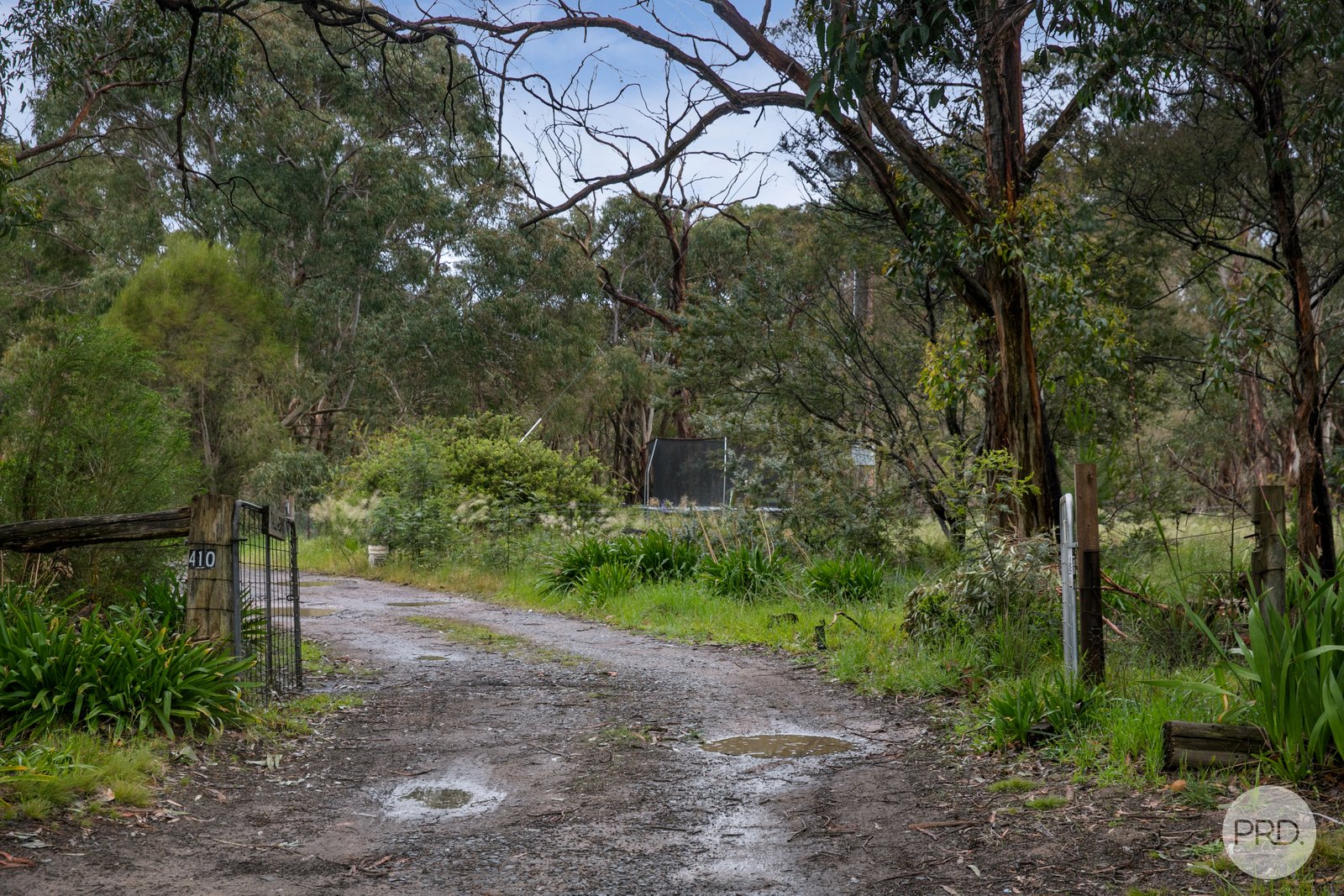 410 Savage Hill Road DEREEL 10