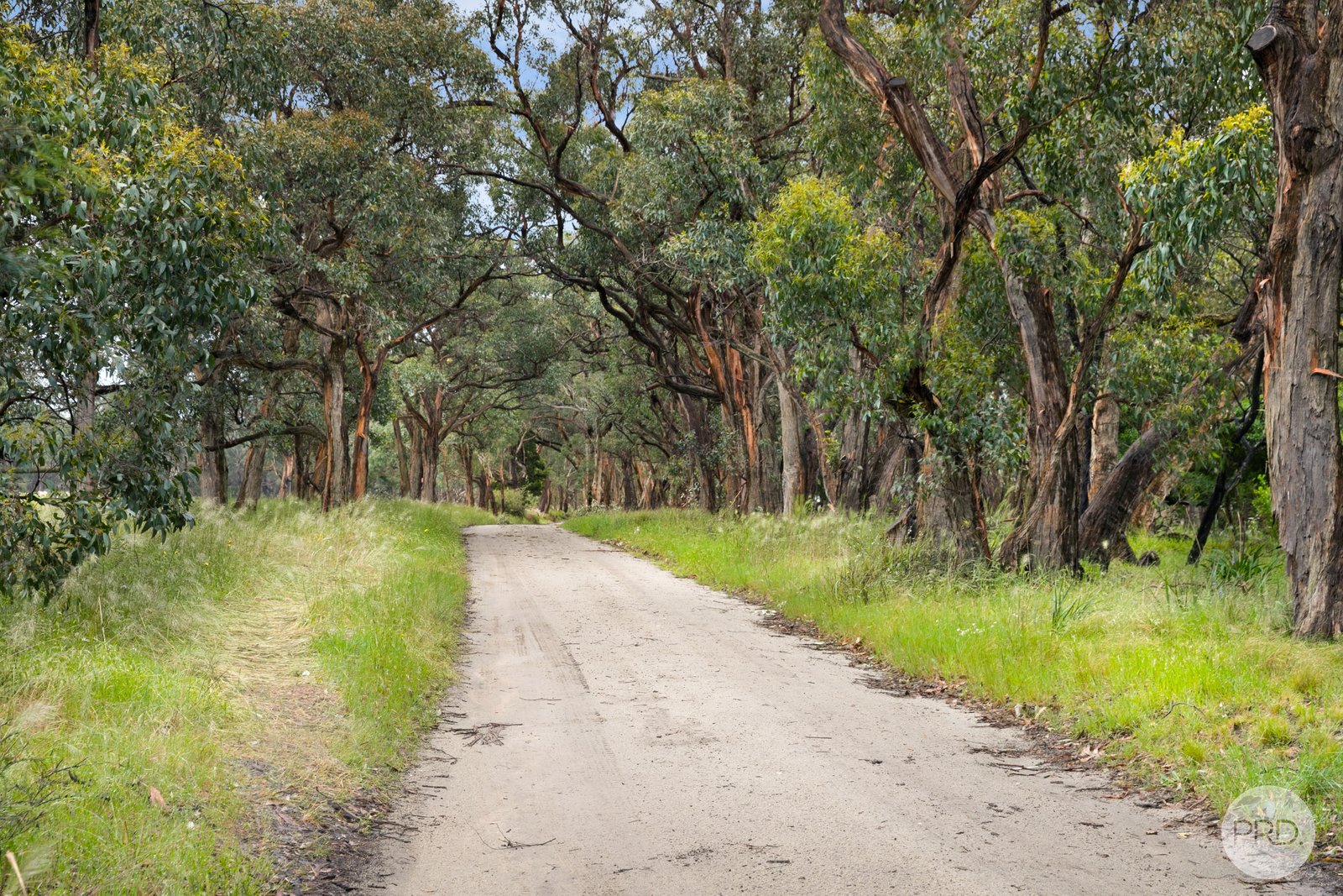 410 Savage Hill Road DEREEL 11