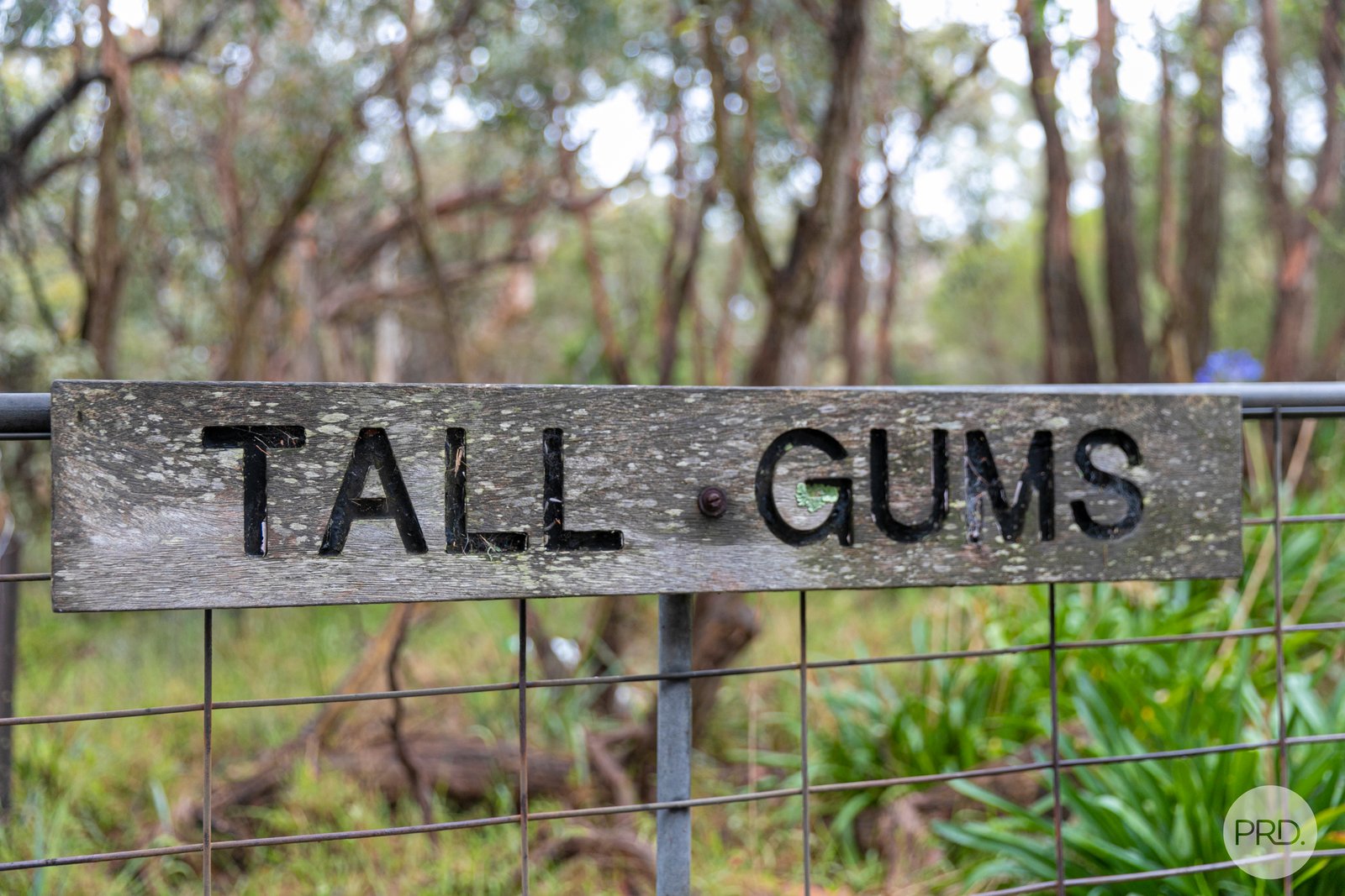 410 Savage Hill Road DEREEL 12