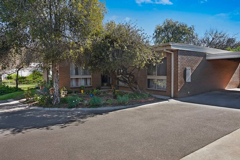 4/11 Hayes Street IRONBARK 1
