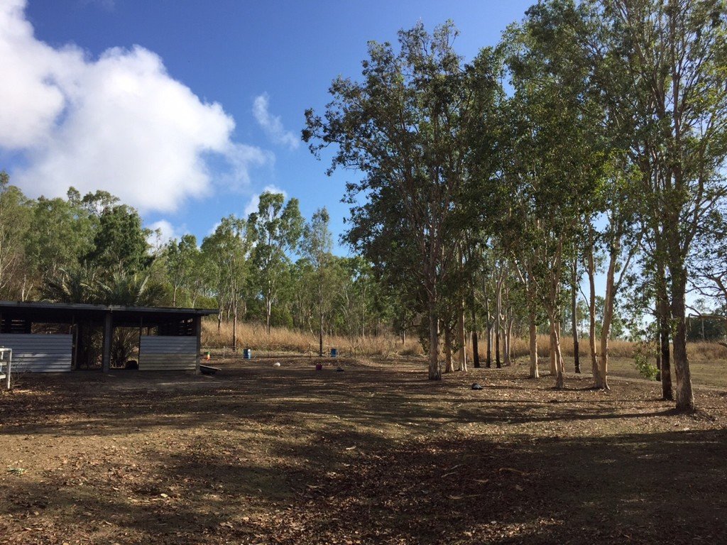 411 Mangrove Road WOODWARK 3