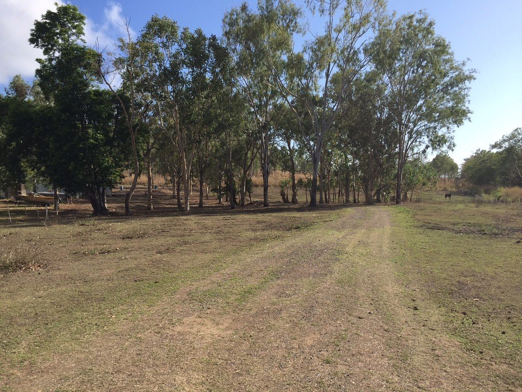 411 Mangrove Road WOODWARK 4