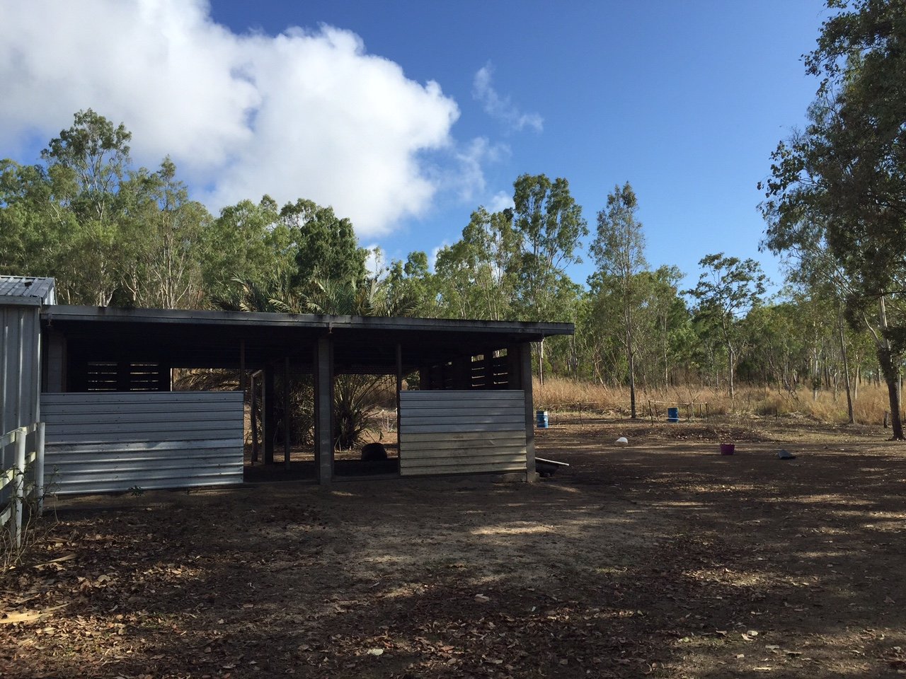 411 Mangrove Road WOODWARK 6