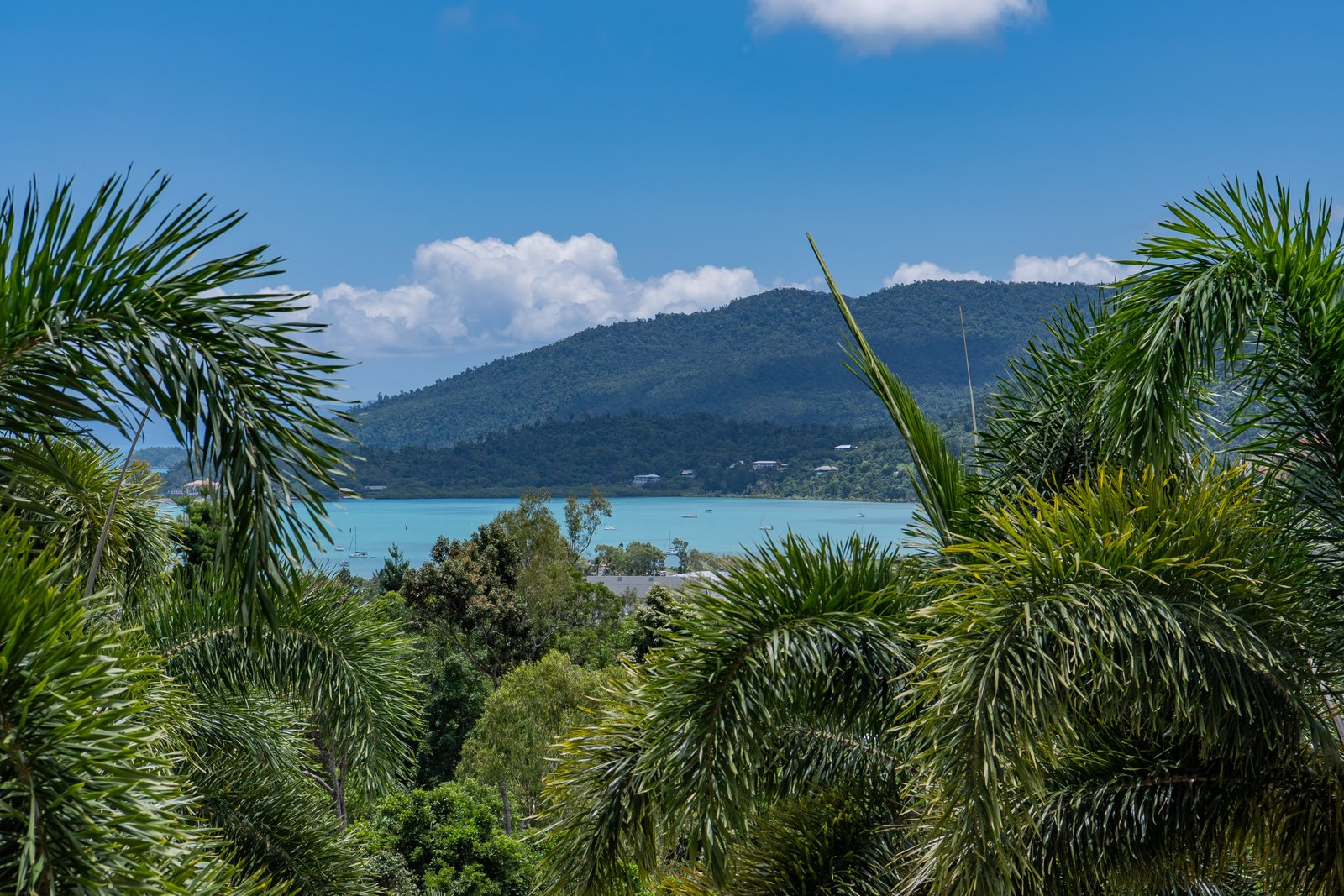 41/15 Flame Tree Court AIRLIE BEACH 13