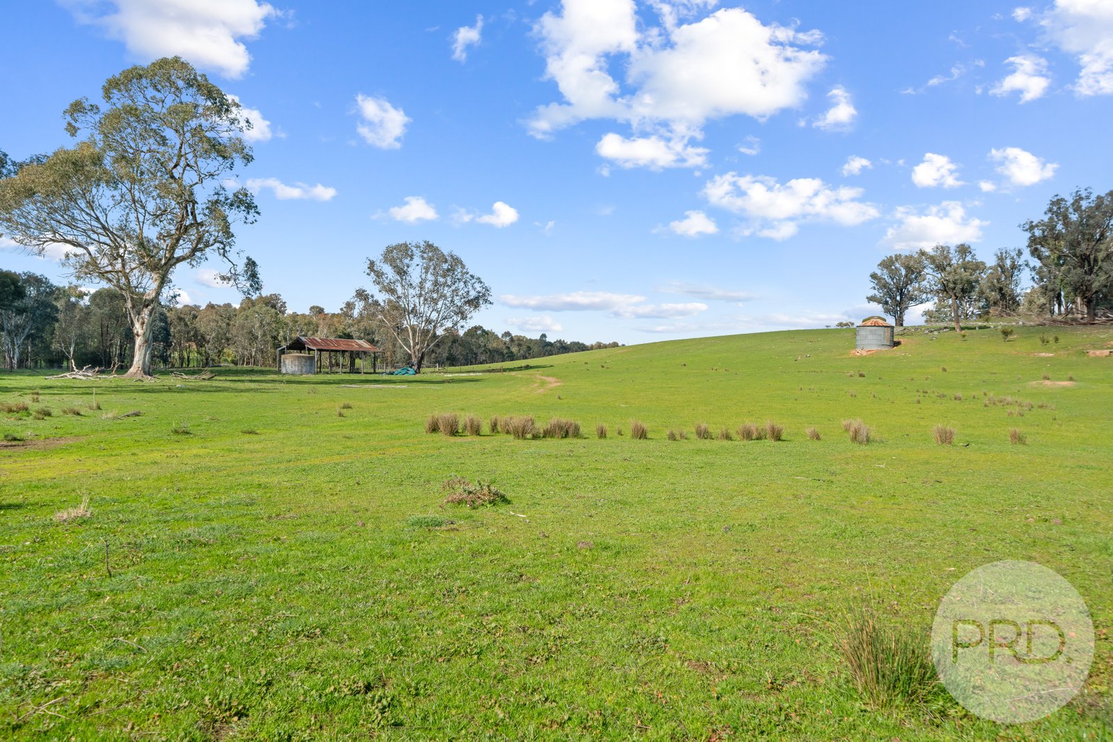 4117 Hume Highway TARCUTTA 18