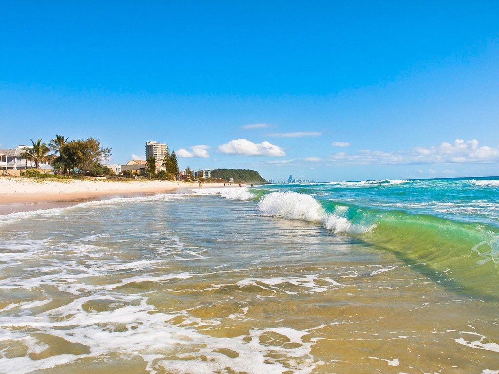 4/1187 Gold Coast Highway PALM BEACH 10