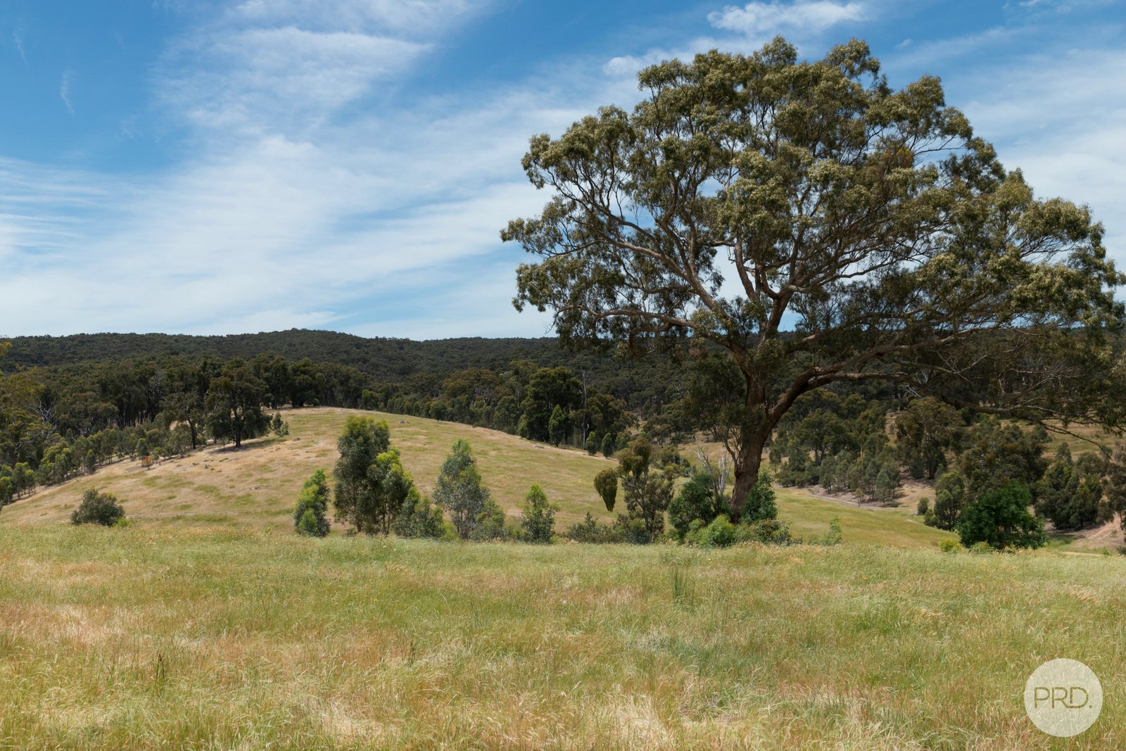 412 Happy Valley Crossing Road HAPPY VALLEY 12