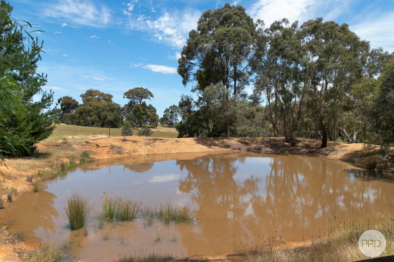 412 Happy Valley Crossing Road HAPPY VALLEY 14