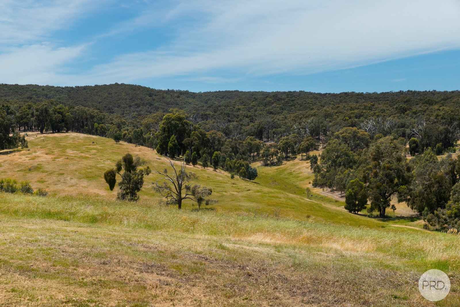 412 Happy Valley Crossing Road HAPPY VALLEY 15