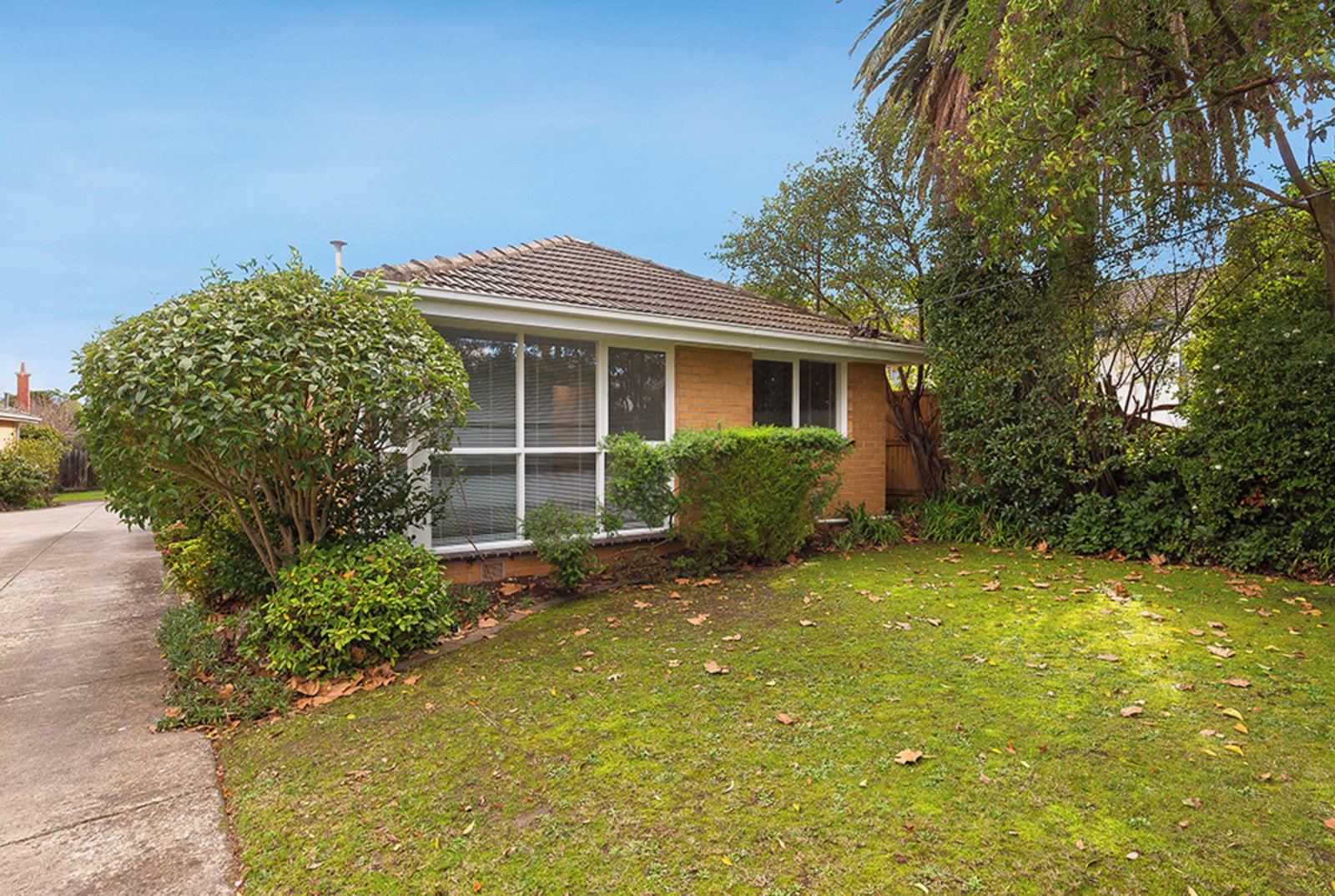 4/13 Blackburn Street, Surrey Hills, 3127