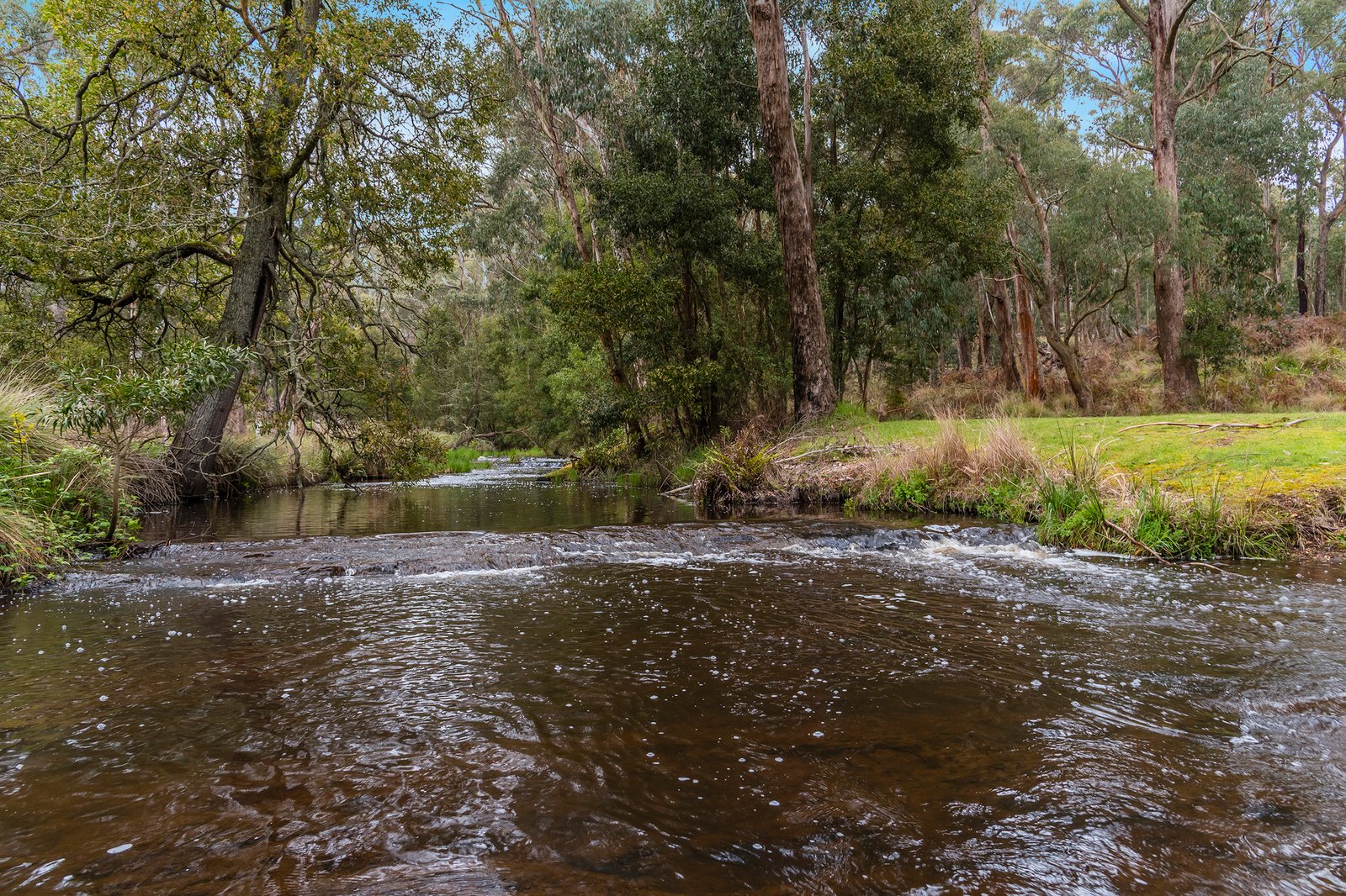 Real Estate and Property in 413 Kyneton-Trentham Road, Trentham, VIC