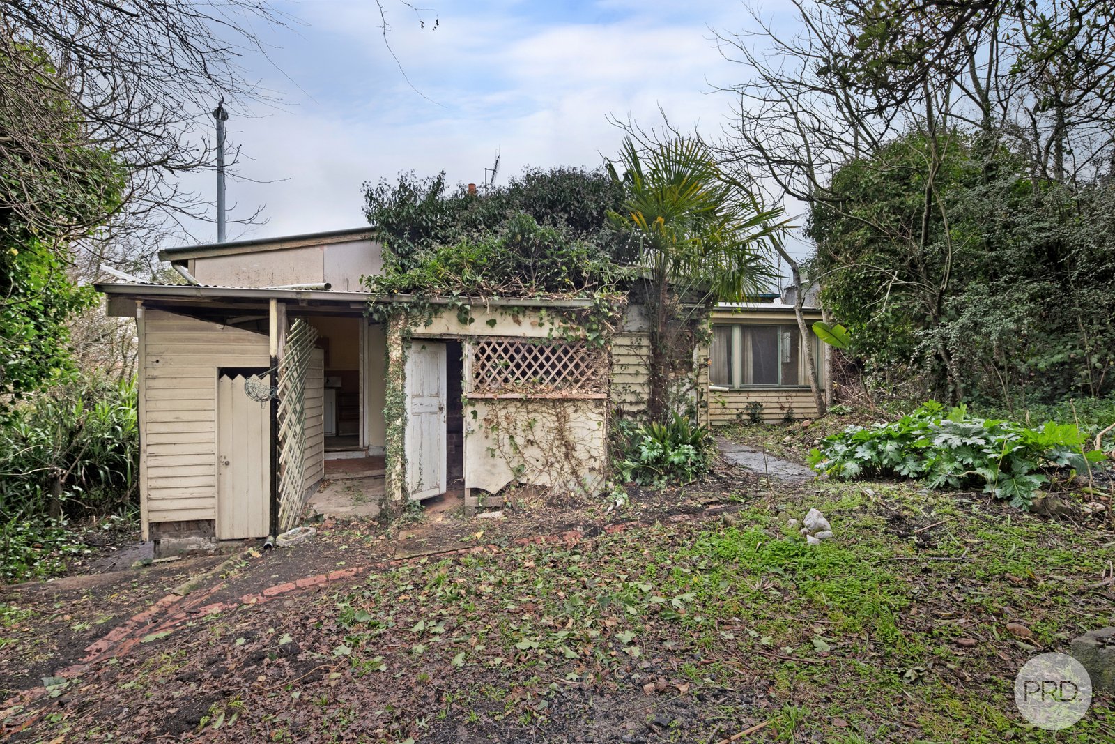 414 Grant Street GOLDEN POINT 19