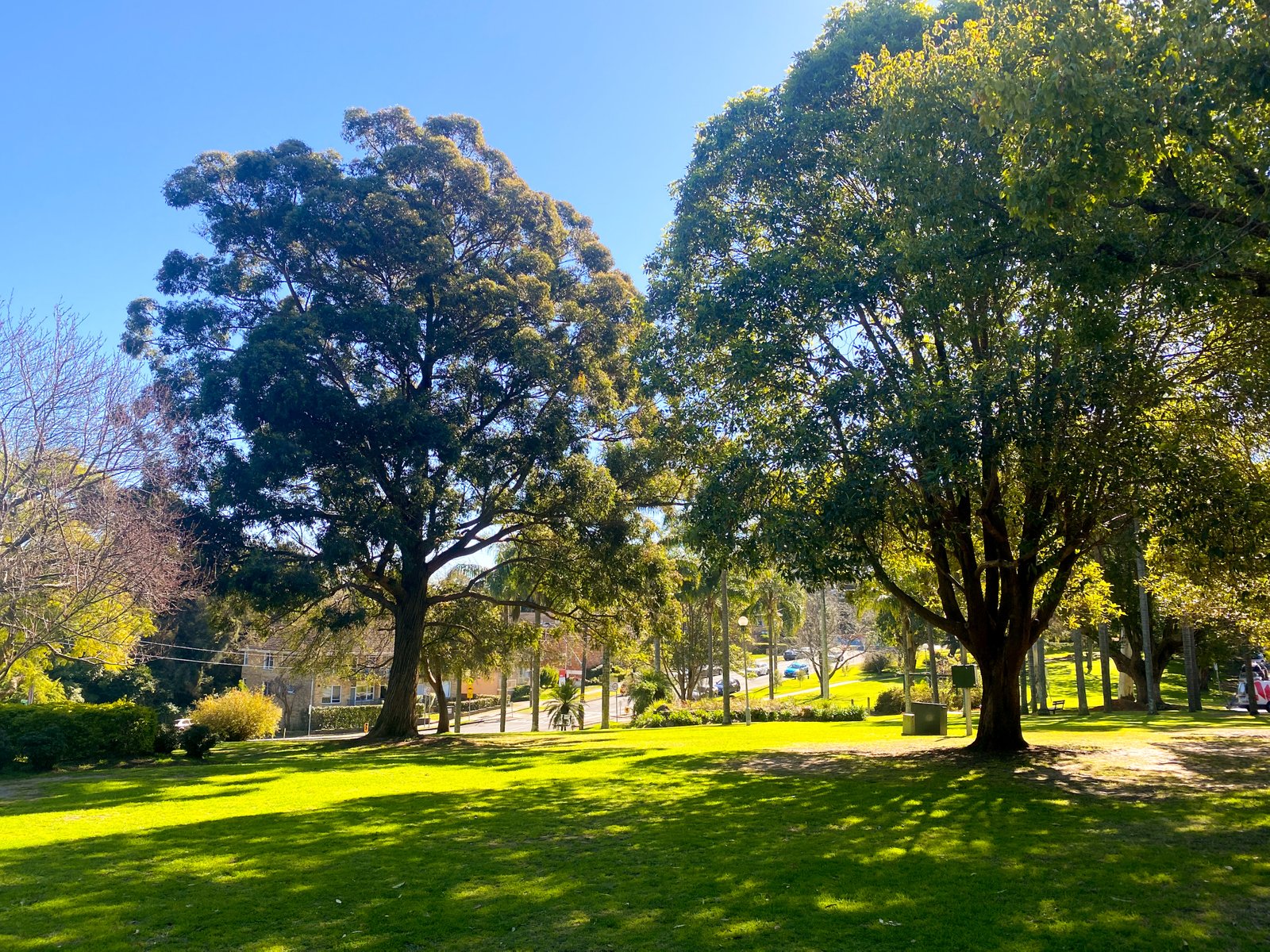 4/14 Oatley Avenue OATLEY 4