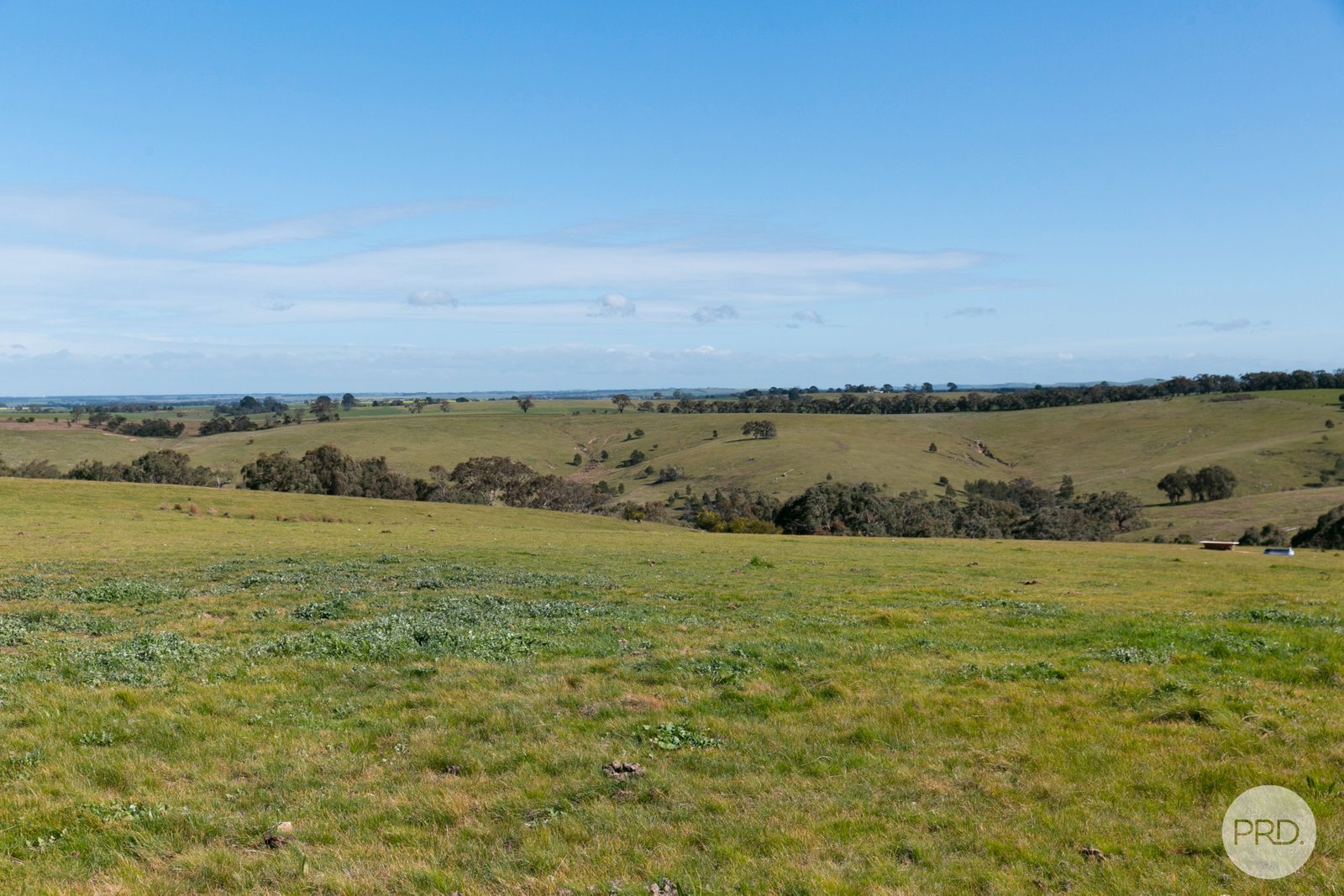 415 Browns Road DEREEL 6
