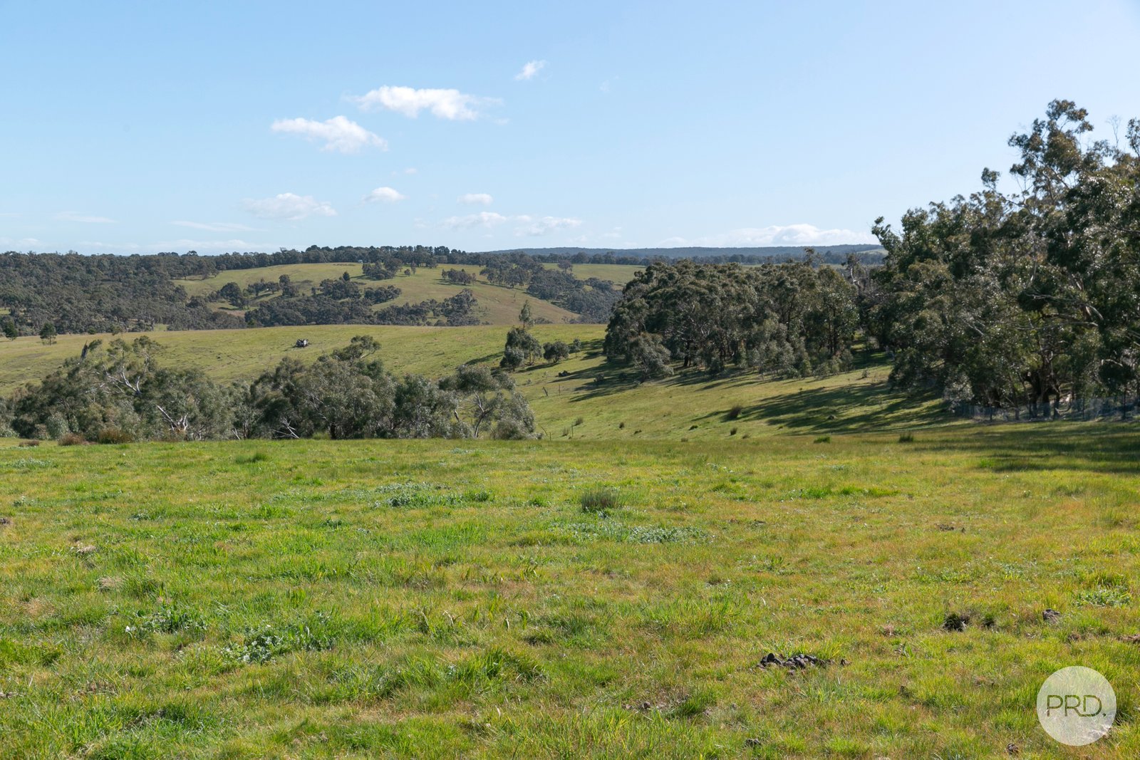 415 Browns Road DEREEL 7