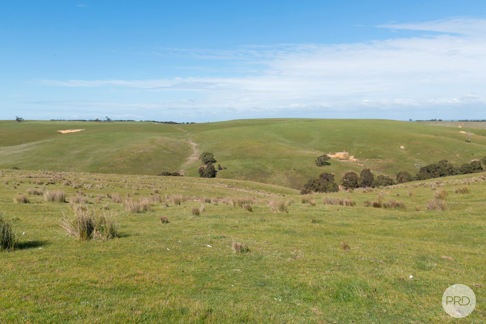 415 Browns Road DEREEL 8