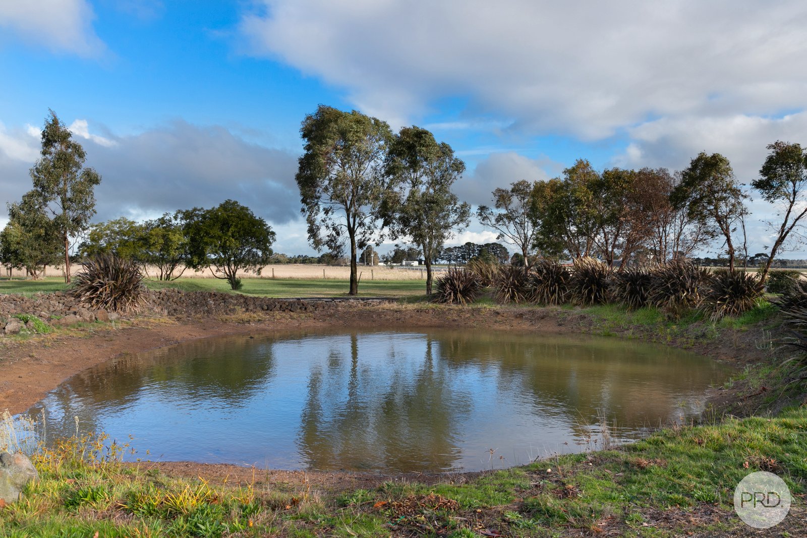 415 Dowling Road MITCHELL PARK 24