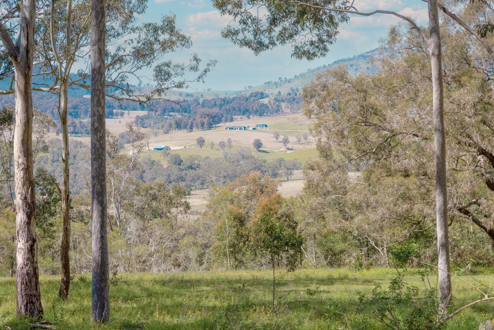 415 Lambs Valley Road LAMBS VALLEY 12