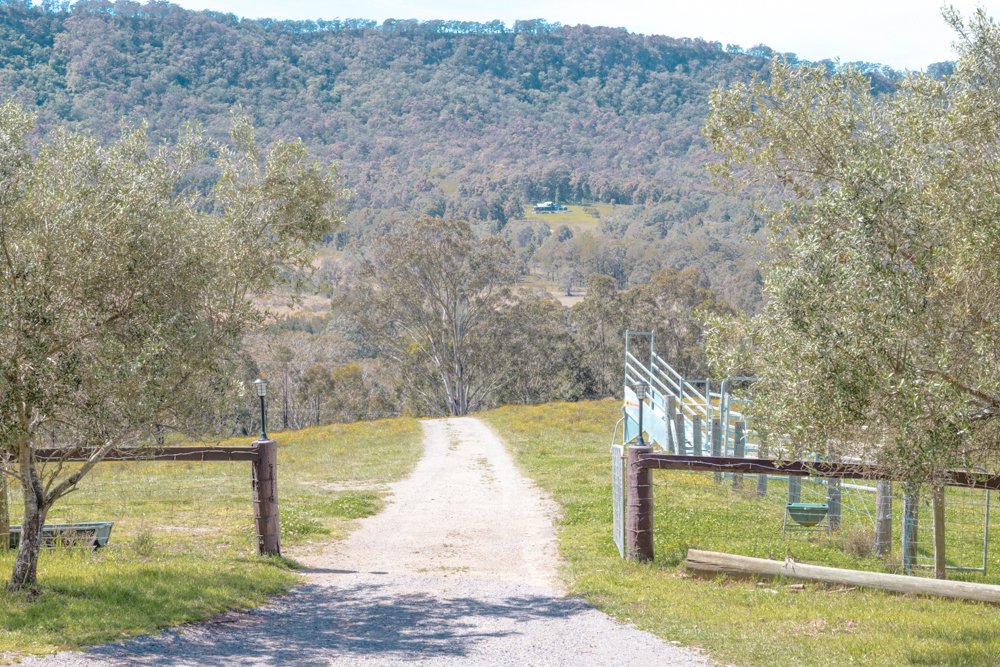 415 Lambs Valley Road LAMBS VALLEY 18