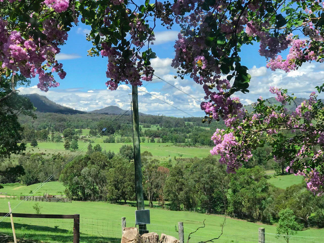 415 Lambs Valley Road LAMBS VALLEY 19