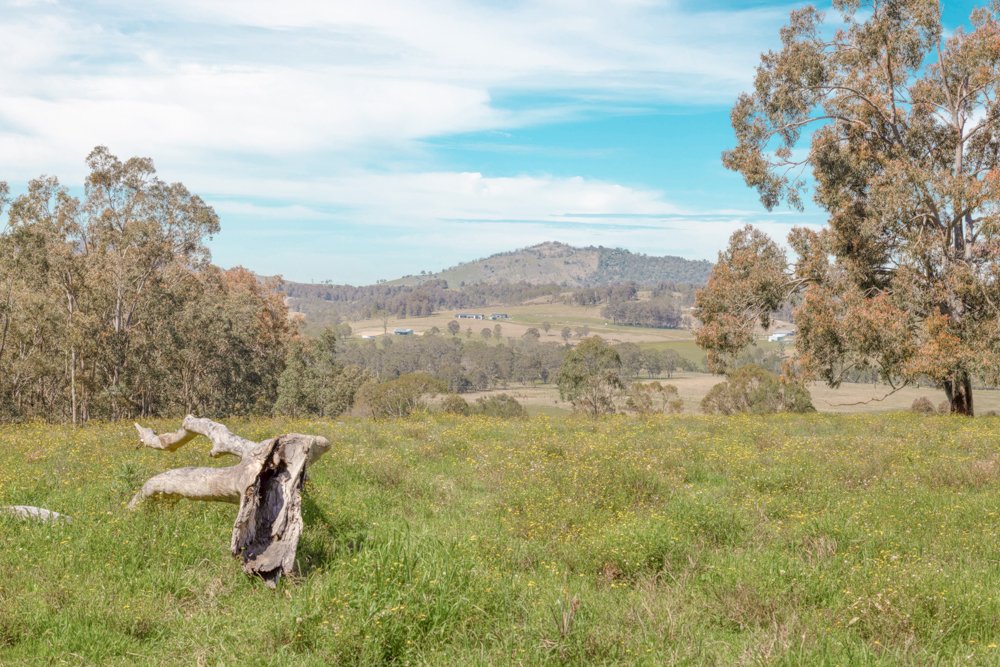 415 Lambs Valley Road LAMBS VALLEY 25