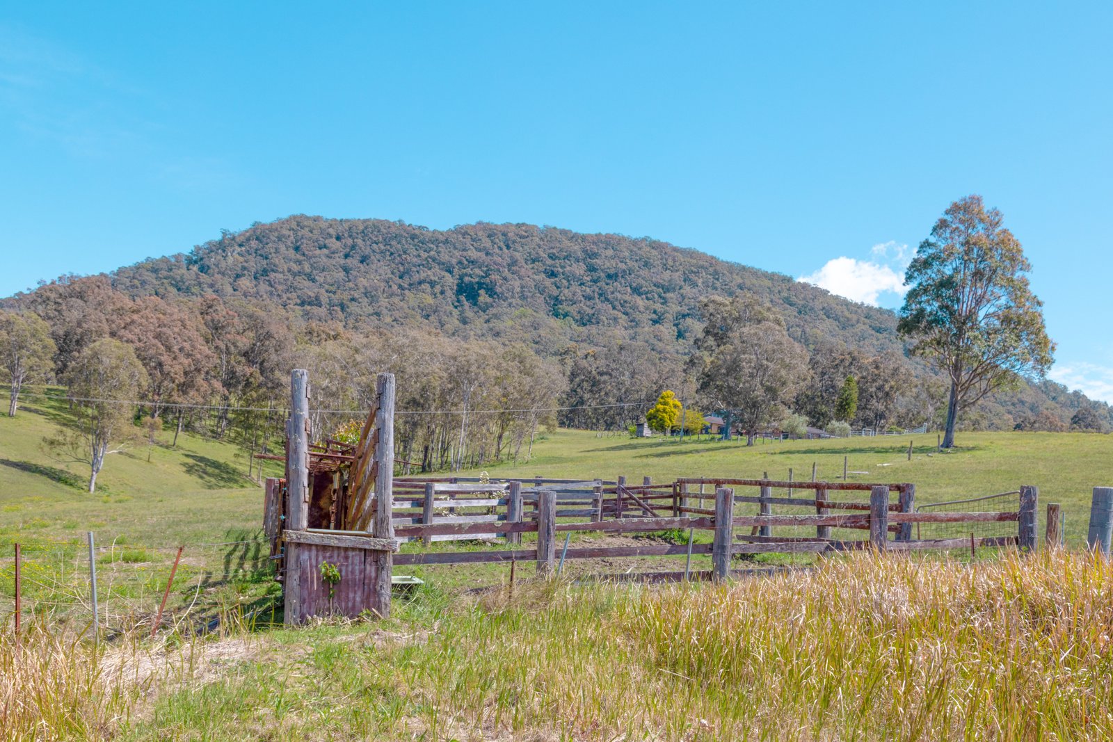 415 Lambs Valley Road LAMBS VALLEY 27