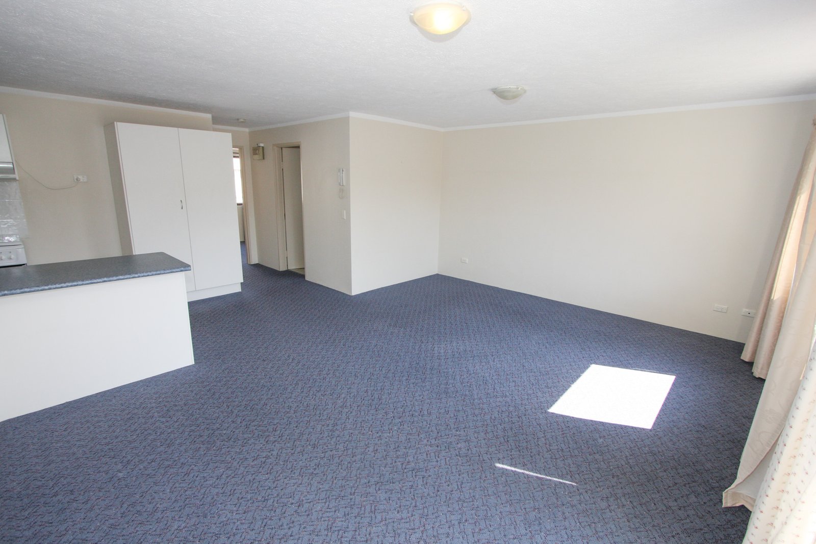 4/159 Muir Street LABRADOR 3