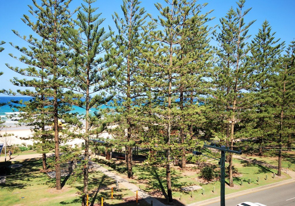 4/164 The Esplanade BURLEIGH HEADS 9
