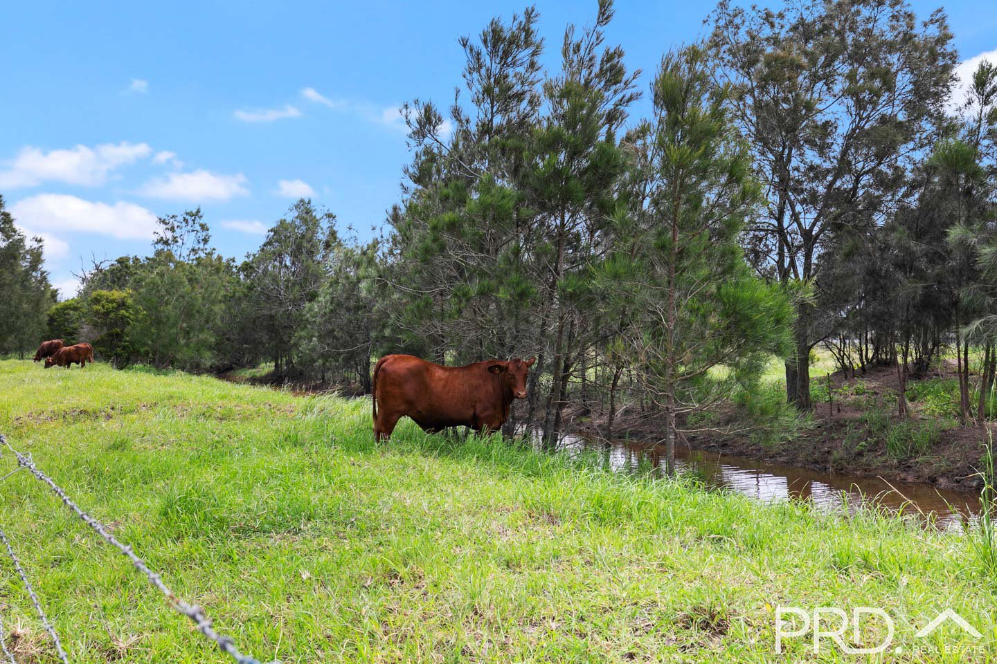 417 Lower Mountain Road NIKENBAH 3