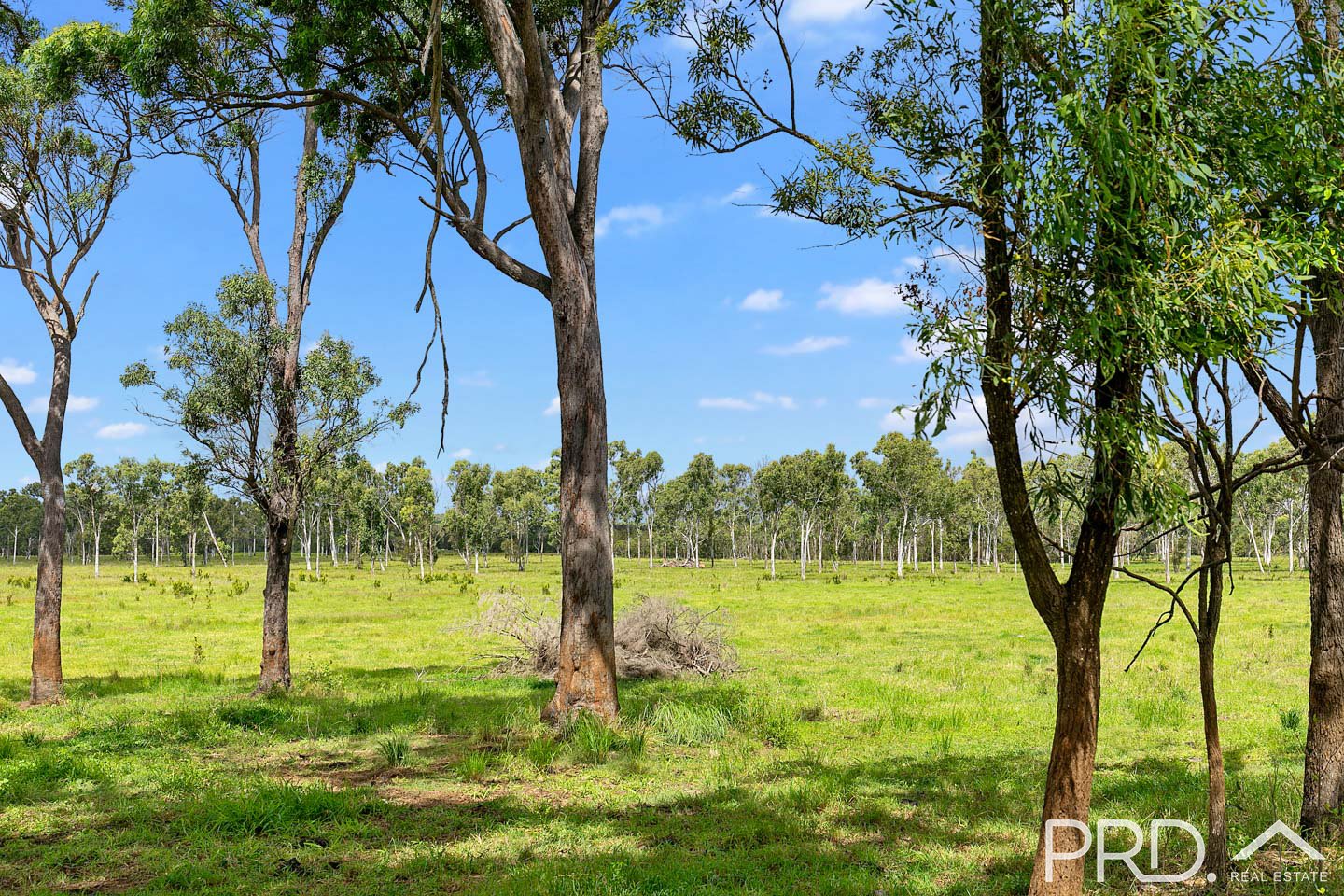 417 Lower Mountain Road NIKENBAH 5