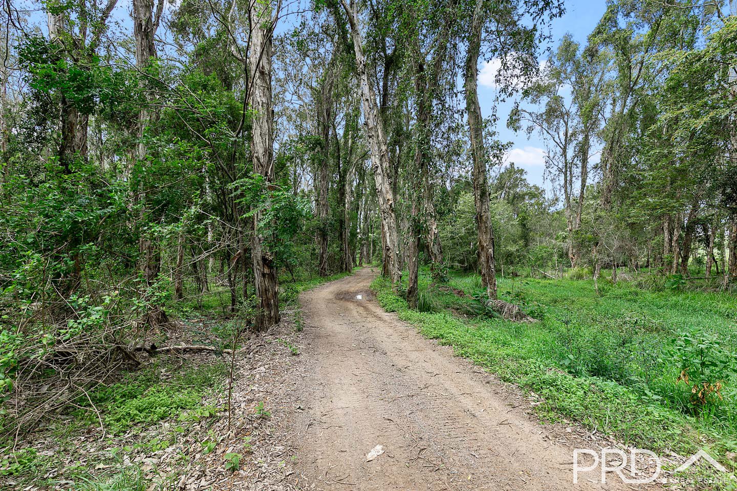 417 Lower Mountain Road NIKENBAH 10