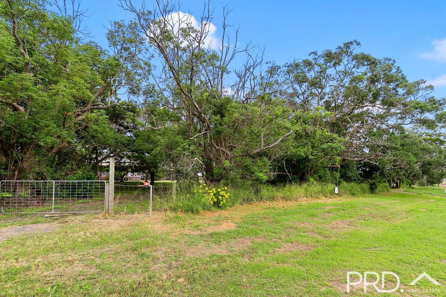 417 Lower Mountain Road NIKENBAH 14