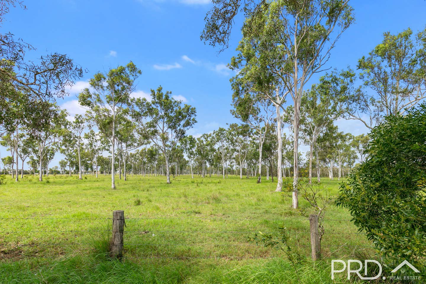 417 Lower Mountain Road NIKENBAH 15