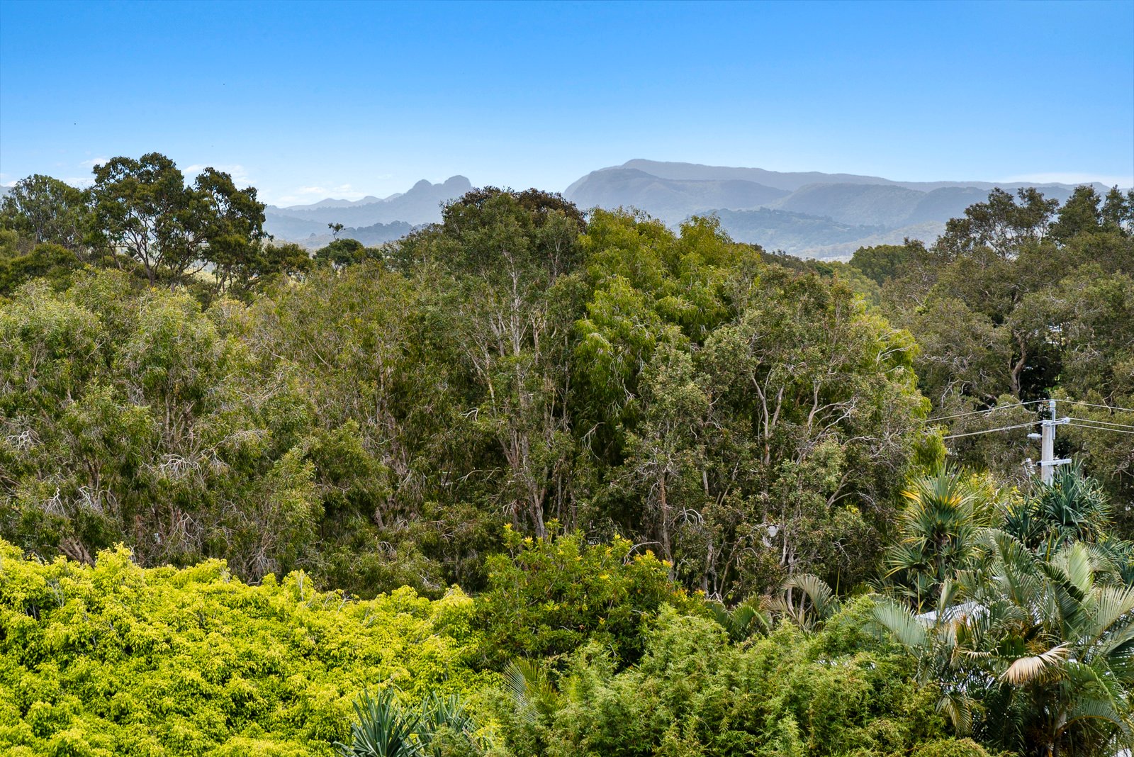 4/17 Rutledge Street COOLANGATTA 11