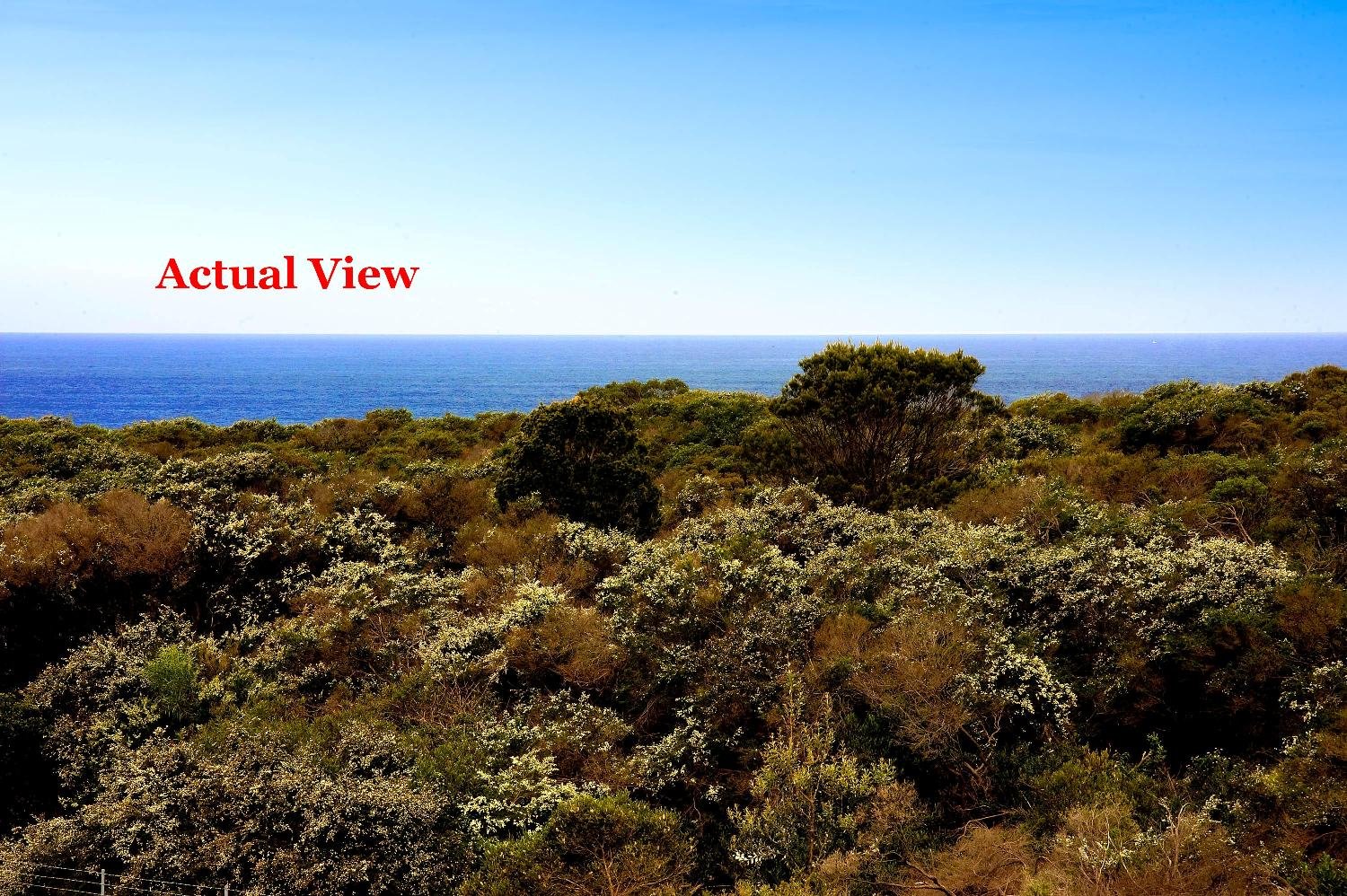 41/75 Broome Street MAROUBRA 6