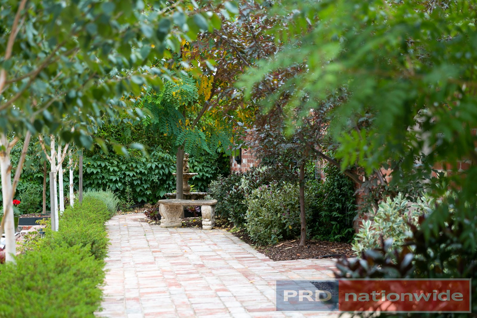 418 Larter Street GOLDEN POINT 19