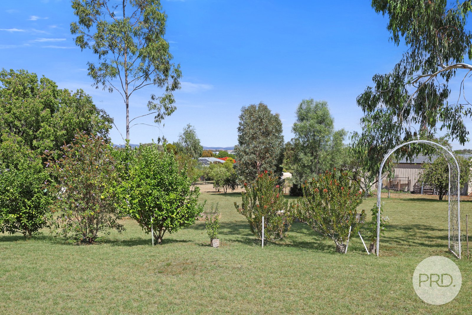 419 Forest Road TAMWORTH 31
