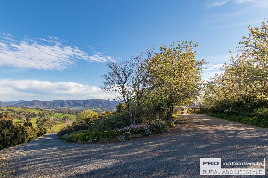 419 Lacmalac Road TUMUT 3