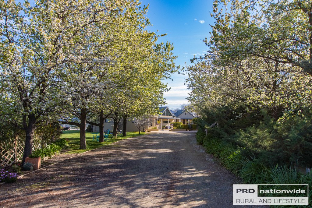 419 Lacmalac Road TUMUT 5